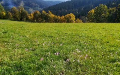 Podzimní atmosféra na Valašsku!